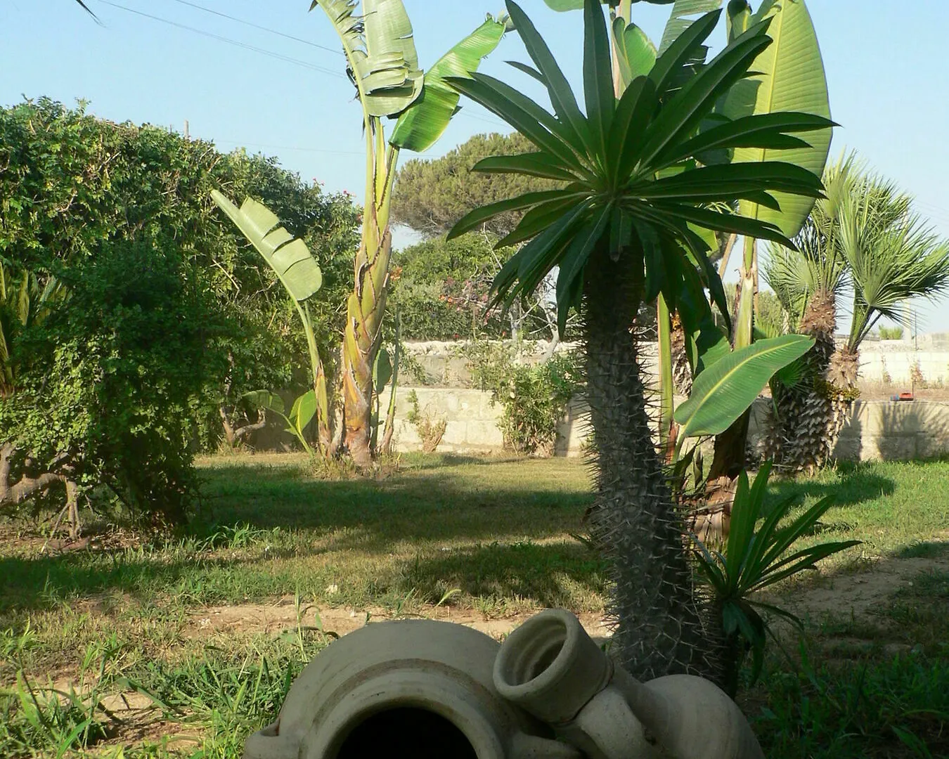 B&B Villa Francesco Casuzze 3*,  Italia