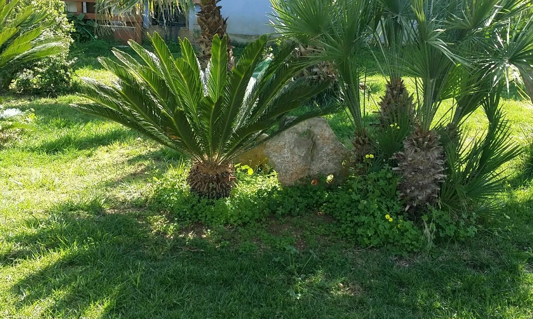B&B Villa Francesco Casuzze
